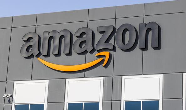 亚马逊日本站宠物用品什么好卖 亚马逊日本宠物用品趋势分析