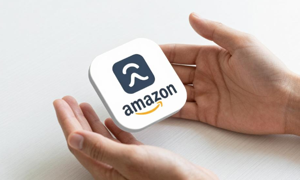 亚马逊SPV单独出价是什么意思 亚马逊SPV单独出价介绍